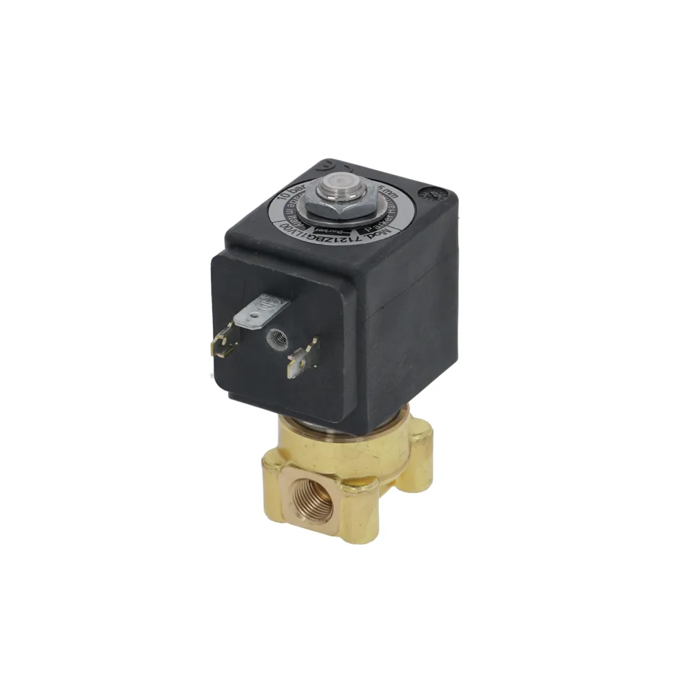 220V 50/60Hz 9W 1/8" x 1/8" Two-way Lucifer Solenoid